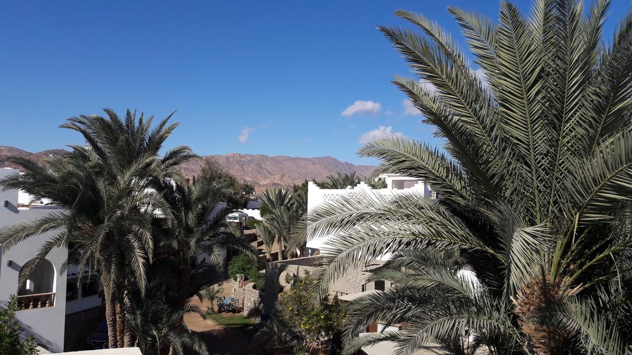 New Yalla Hotel Dahab Dış mekan fotoğraf