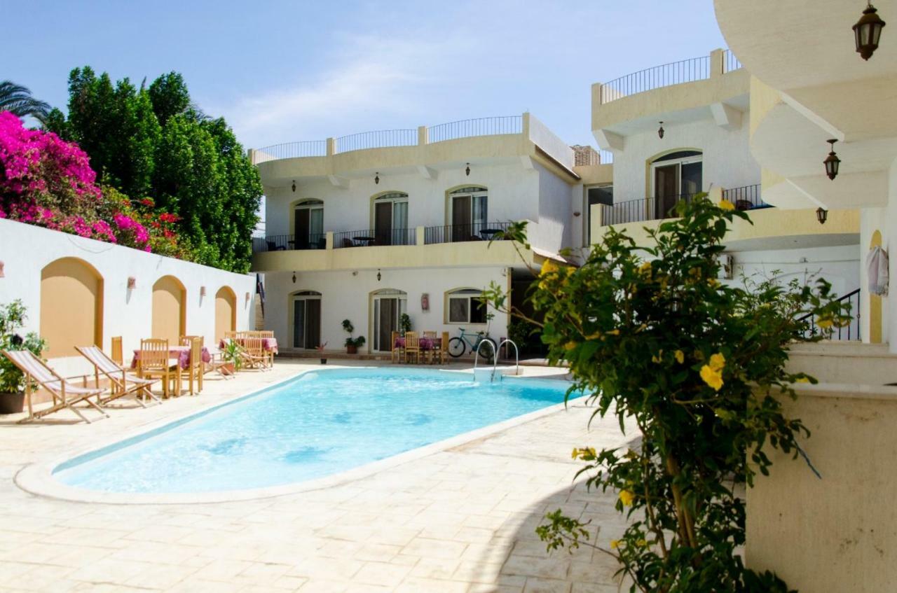New Yalla Hotel Dahab Dış mekan fotoğraf